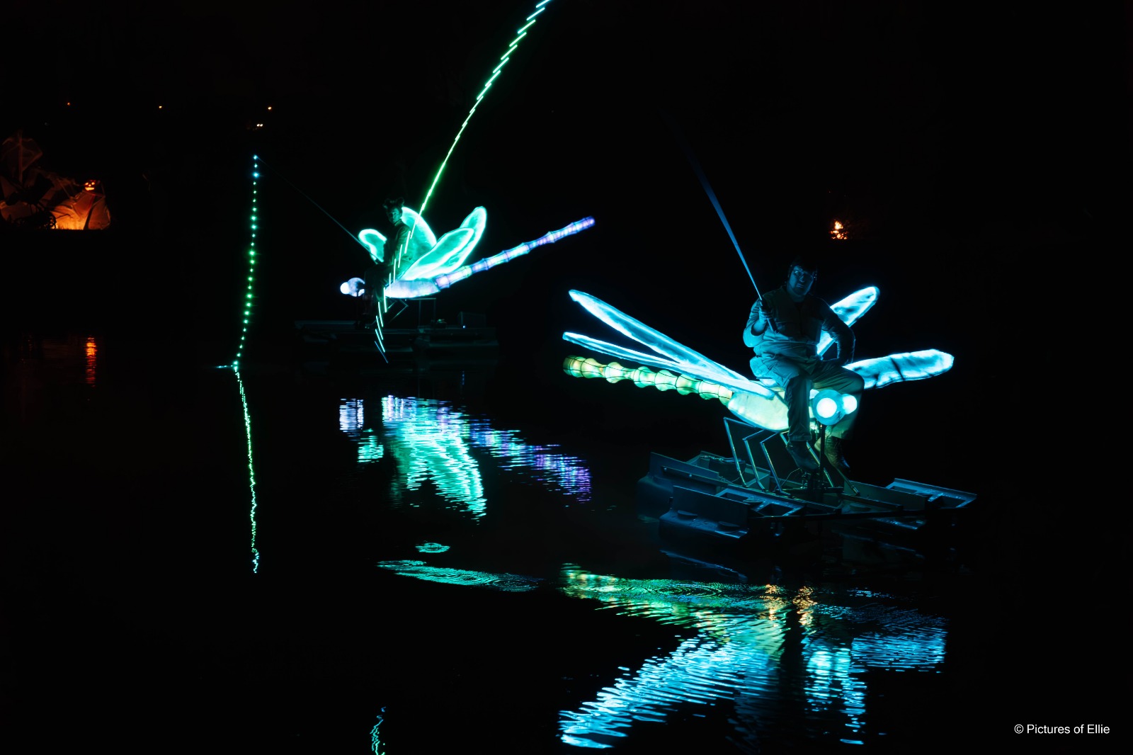 Lichtgevende libel-performers op het water bij nacht